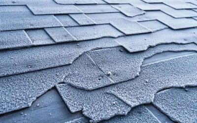 All About Roofs: Common Causes of Roof Damage You Need To Know