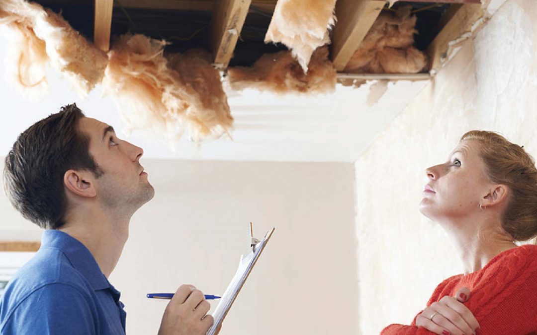 2 Common Reasons Boston Homes Experience Roof Leaks