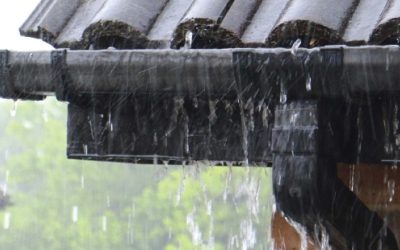 Rain Gutters: What Are They Why Are They Important?