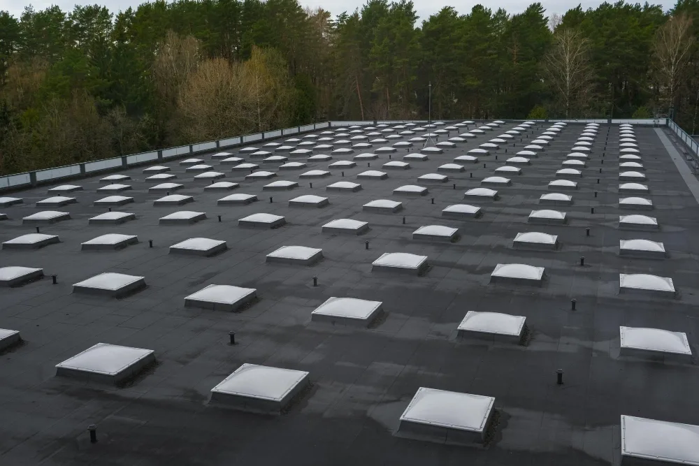 bitumen img
