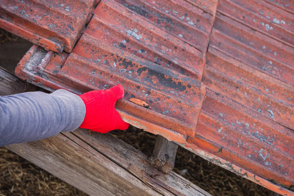 View of roof shingles being cleaned