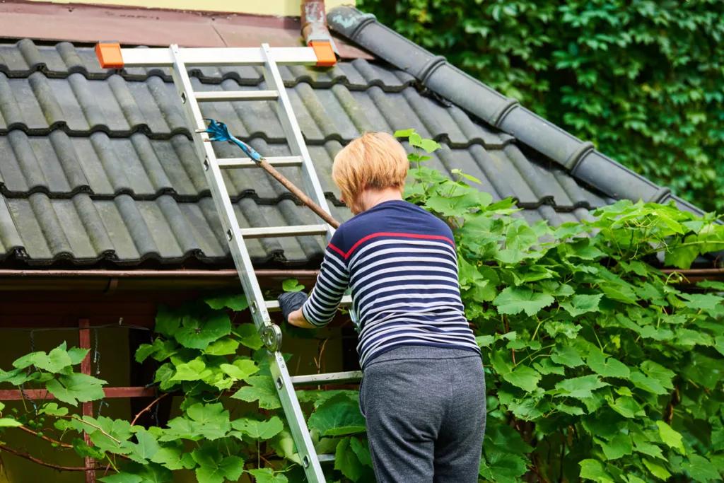 Soft wash roof cleaning technique