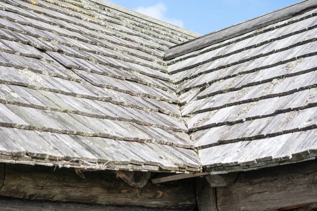 Removing moss and algae from shingles