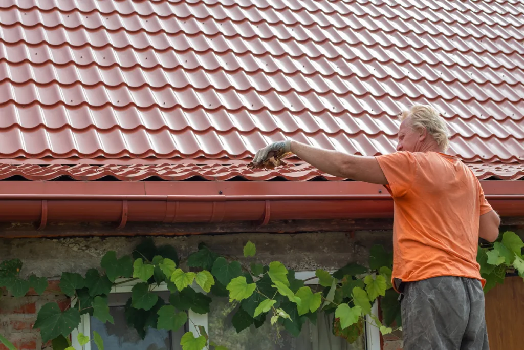 Professional roof shingle cleaning process